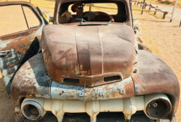 Namibia_August (114/135)